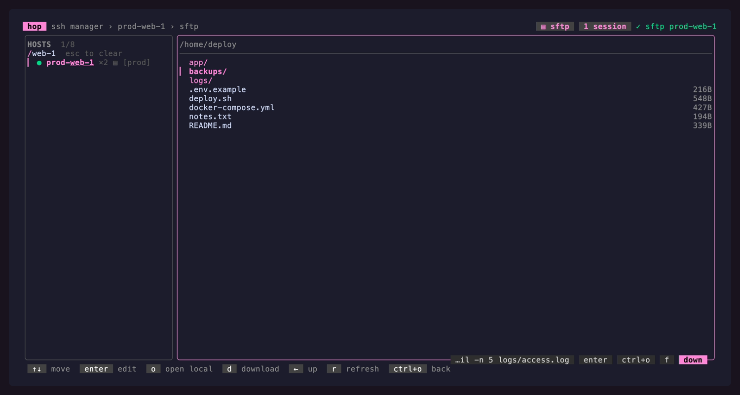 The SFTP file browser inside hop