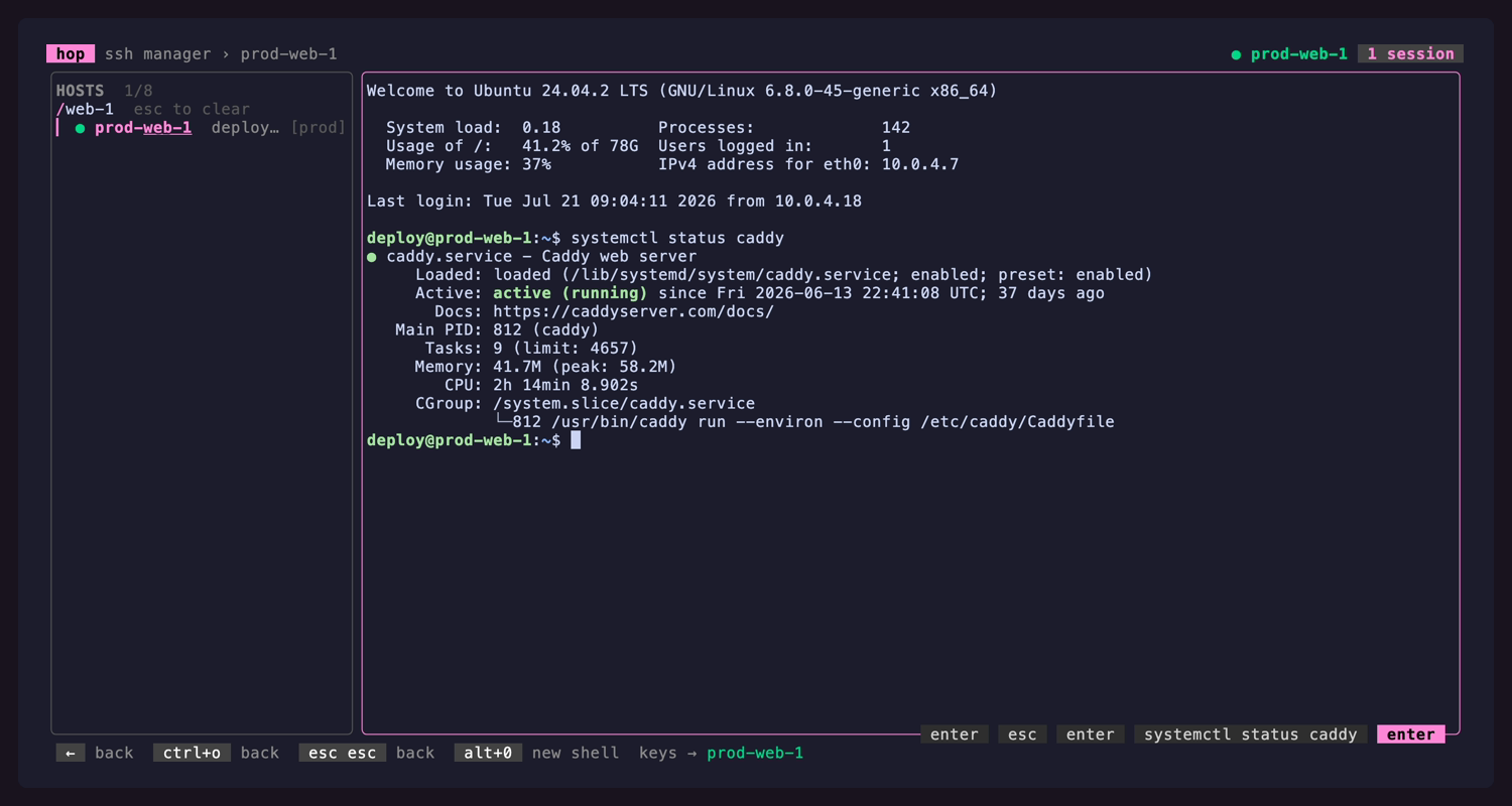 A live remote shell inside a hop pane